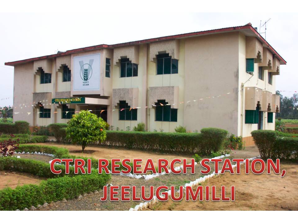 Jeelugumilli