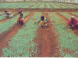 nursery3